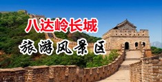 www.骚逼,操死你视频中国北京-八达岭长城旅游风景区