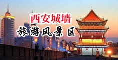 日本操鸡视频免费看中国陕西-西安城墙旅游风景区