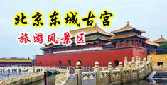 91干逼视频中国北京-东城古宫旅游风景区